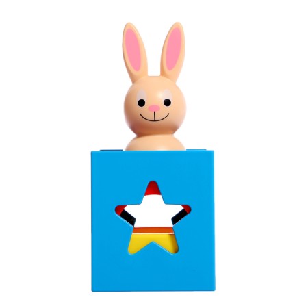 Developing set "Rabbit in the house", 3+-3