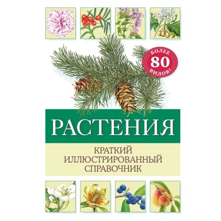 Plants. Brief illustrated reference book. Holger H.