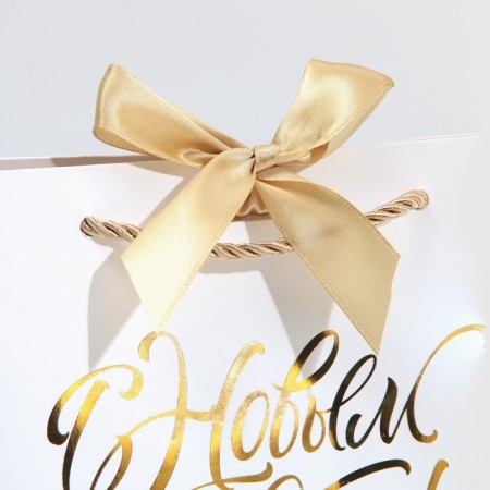 Gift package "White Snow", 19 x 20 x 9 cm, new year-3