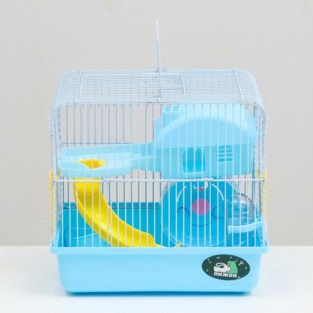 A cage for rodents "Pijon", equipped, 27 x 21 x 26 cm, blue-1