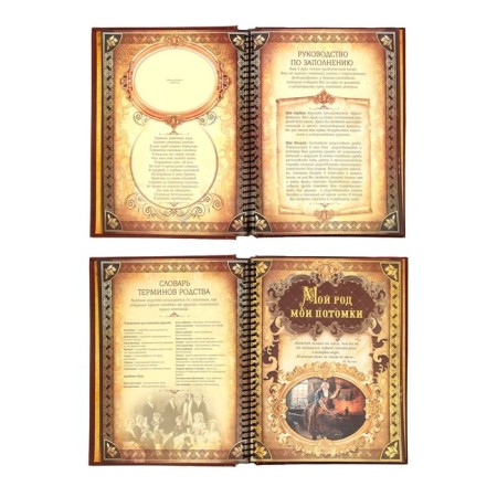 The genealogy book "Family History", 27 sheets, 24.5 x 29.2 cm-6