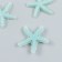 Decor for creativity plastic "Mint Sea Star" Sugar 3,8x0.5x3.8 cm