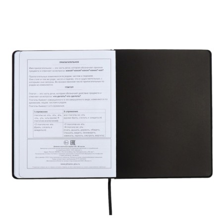 Universal Diary 1-11 grade, 48 sheets "Original", solid cover of artificial leather, embossing foil, liesse, universal cheat sheet, block 80 g/m2-12