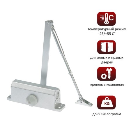 Dicked-up door tundra D80SL, from 45-70 kg, silver color-4