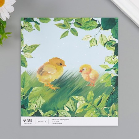 Scrapbooking paper bilateral "bunnies and chicken" density 180 grams set 10 pcs 15.5x17 cm-2