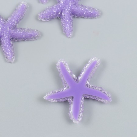 Decor for creativity Plastic "Violet Marine Star" Sugar 3.8x0.5x3.8 cm-1
