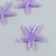 Decor for creativity Plastic "Violet Marine Star" Sugar 3.8x0.5x3.8 cm