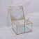 Great organizer for storage, with a lid, glass, with a mirror -bottom, 1 section, 15 × 15 × 8.5 cm, the color is transparent/copper