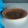 Set of Tea Rishtan Ceramics "Patterns", 9 objects, (kettle 0.8 l, Piales 0.3 l)