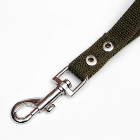 Sprinkle Pediatrician 2 cm, khaki-1