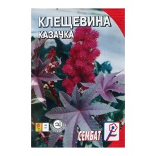 Cleshchevina flowers 