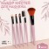 Set of makeup brushes "Soft", 5 objects, color mix