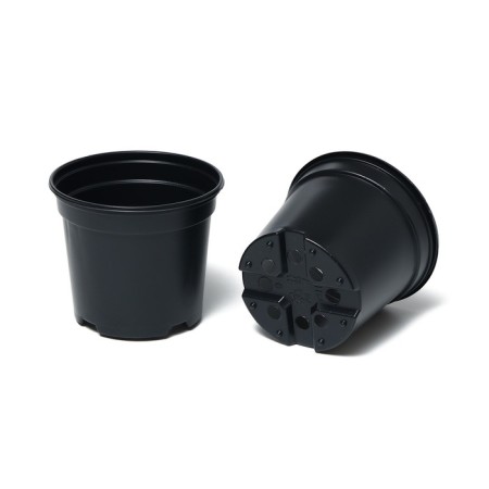 Set for seedlings: glasses of 520 ml (8 pcs), pan 40 × 30 cm, black, Greengo-11