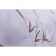 Canneto bathroom curtains, 180 x 200 cm, brown color