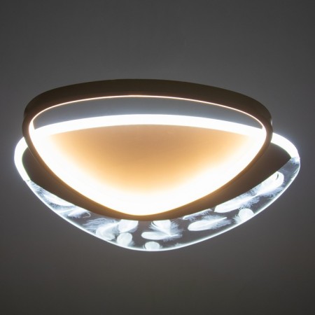 Chase with DNO "Malva" LED 120W 3000-6000K white-gold 50x45x7 cm Bayerlux-3