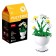 Designer "Flowers in a pot", 6 species, mix