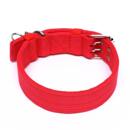Four-layer collar with a swivel, 65 x 4 cm, Osh 54-60 cm, polyester, red-1