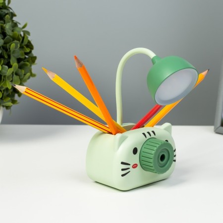 Board lamp "Kisa" LED 3W USB green 9.5x7.4x22 cm Risalux-5