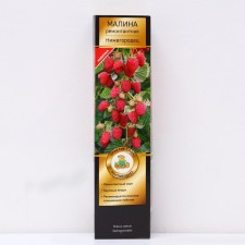 Raspberry repair varieties 