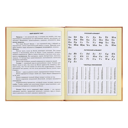 Diary for grades 1-4, hard cover "Beasts", matte lamination, selective varnish, block 60 g/m2-13