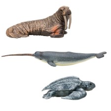 Set of figures 