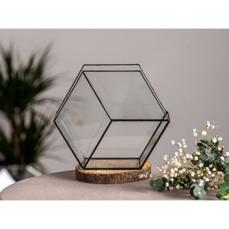 Florarium "Sot 3d" (black seams)