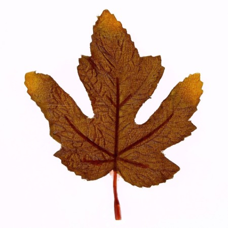 Decor "Autumn sheet" set of 15 pcs., Size 1 pc. - 9 × 11 × 0.2 cm, brown color-1