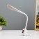 Sconces in the socket "Darsia" LED 2W white 2.5x6x32 cm