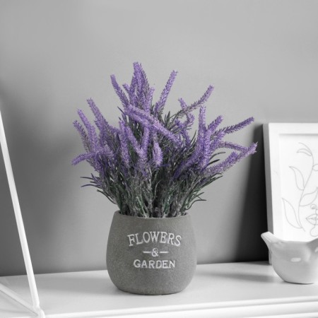 Bonsai "Lavender Culture Extra" 8x21 cm, lilac