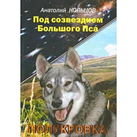 Under the constellation of a large dog. Koltsov A.