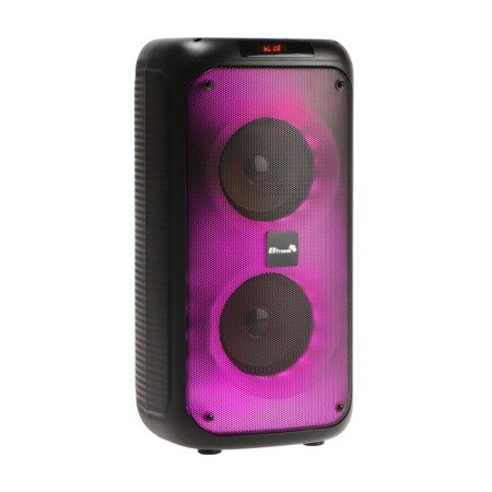 Portable column Eltronic Fire Box 220, 22W, 4000 MACH, FM, BT, Microsd, AUX, TWS, LIGHT