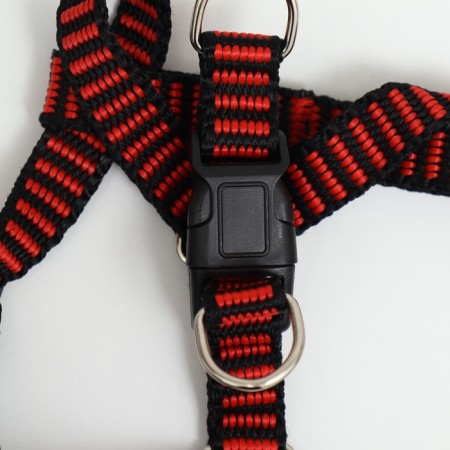 Relief harness 36-49 x 1.5 cm, red-hourly-5