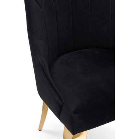 STILL WITH A GUSTAV Metal Carcass Metal/velor, Gold/Black 53x61x97 cm-5