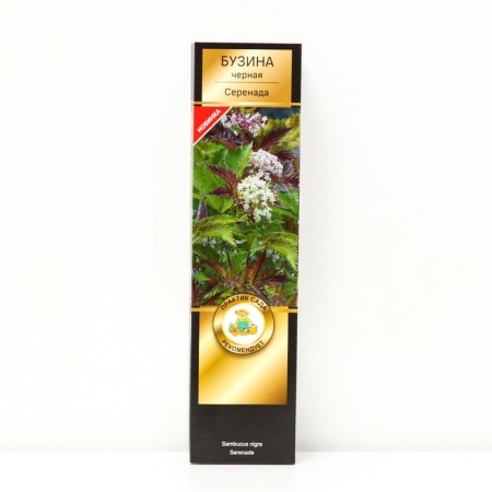 Buzina Black Lux "Serenade", 1 pc, tube, spring 2025