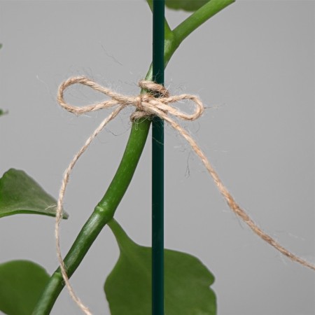 Flax twine for garter plants, 50 m, 1200 teks, 2 threads, linen, Greengo-3