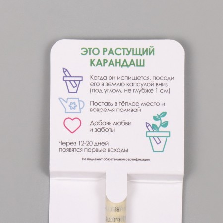 Growing gift pencils Mini "Basil"-2