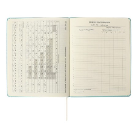 Universal diary for grade 1-11 Leaf, solid cover, artificial leather, foam, embossing foil, liesse, 80 g/m2-10