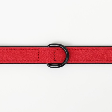 A collar with a remote ring "Mona", 42 x 2 cm, scarlet-5