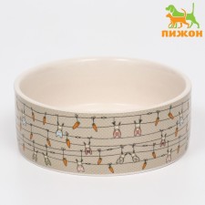 Ceramic bowl 
