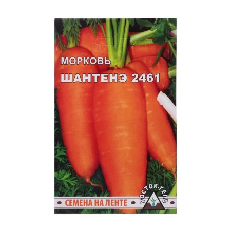 Carrot seeds "Chantine 2461"