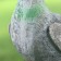 Garden figure "pigeon" 17x10x18cm ////