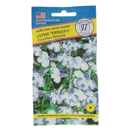 Flowers of Lobelia Bush "Rivierra" Blue Spray, Oh, Multipherge 5 pcs
