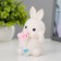 Spinker "Bunny with a bouquet" LED 2W from 3XLR44 batteries is white-pink 6.5x6.5x11 cm Risalux