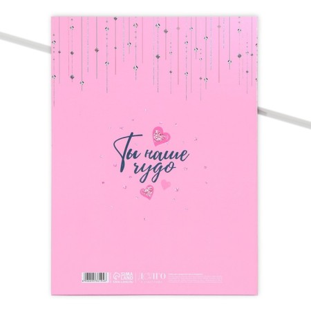Folder for birth certificate "Favorite daughter", A4.-2