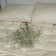 The pillow is medium threefold, size 70x70 cm, color mix