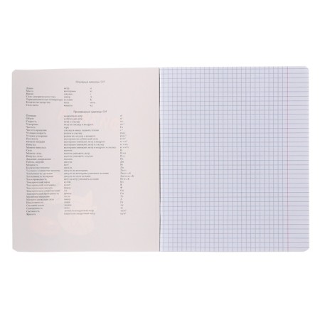Notebook “Pog and Cat” 48 sheets in the “Physics” cage, cover coated cardboard, metallized paint, VD-LK, OFSET block-1