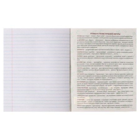 Subject note Calligrata Top "Anime", 48 sheets in the line of literature, with reference material, cover coated cardboard, block offset-3