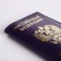 Passport cover, purple color