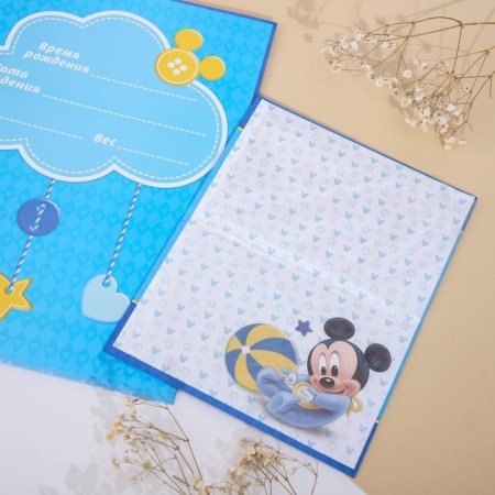 Cover for documents set "My first documents", Mickey Mouse, 21x30 cm-2