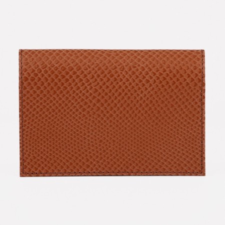 Cover for passport, red-1
